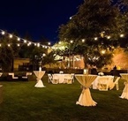 Pareja de novios celebrando su boda